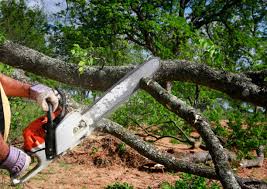 How Our Tree Care Process Works  in  Leechburg, PA